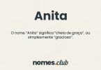 Anita significado